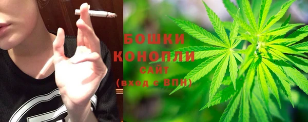ешки Ельня