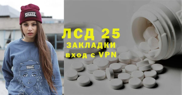 прущие грибы Елизово