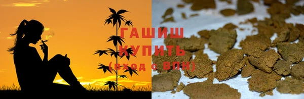 прущие грибы Елизово