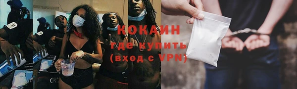 ешки Ельня