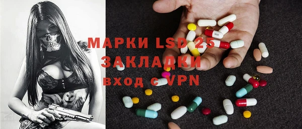 прущие грибы Елизово