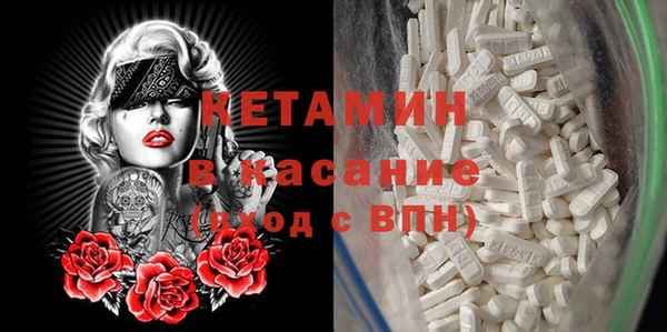 прущие грибы Елизово