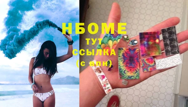 прущие грибы Елизово