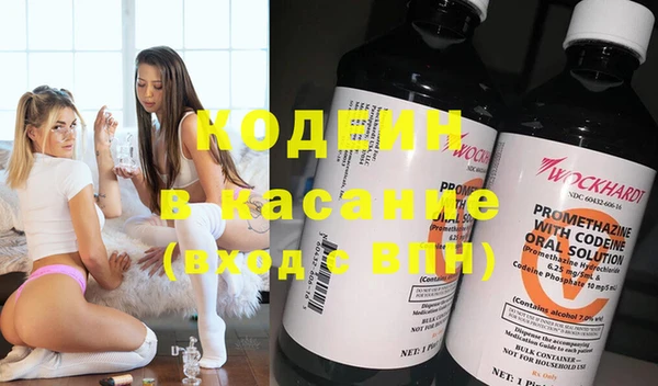 прущие грибы Елизово