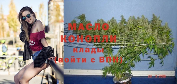 прущие грибы Елизово