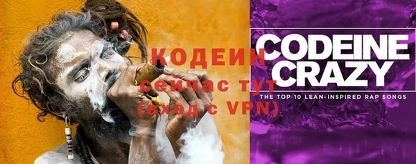 прущие грибы Елизово