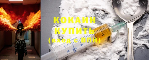 ешки Ельня
