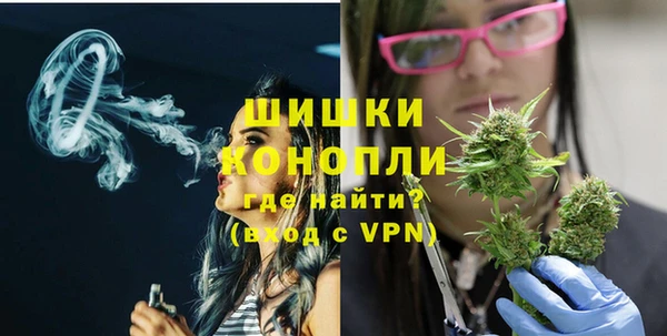 СК Дмитров