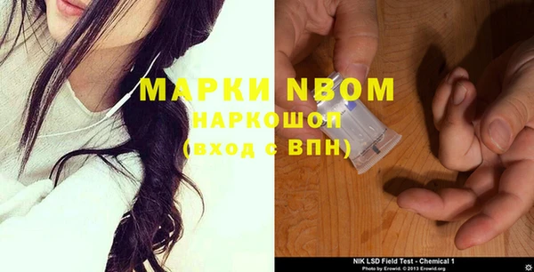 прущие грибы Елизово