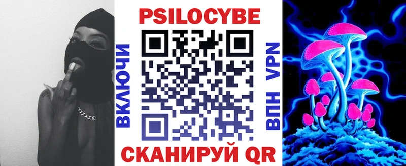 наркота  Заозёрск  Псилоцибиновые грибы Psilocybine cubensis 